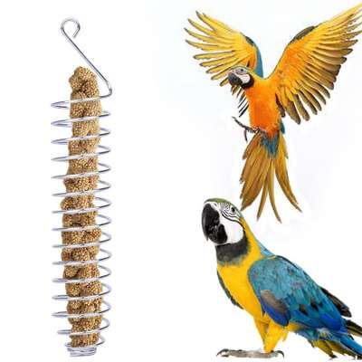 Stainless Steel Parrot Forager Outdoor Bird Feeder Natural Fruit Food Basket Small Pet Supplies