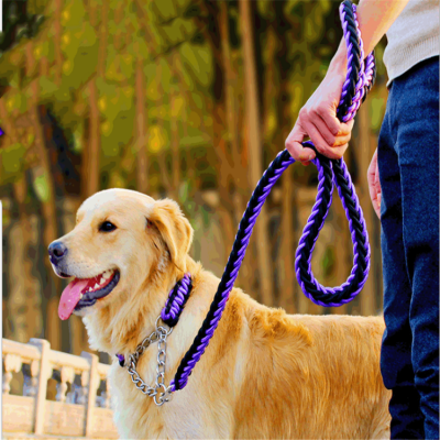 Hot Sale Luxury Pet Collar Leash Nylon Reflective Anti-Explosion Round Dog Double Leash